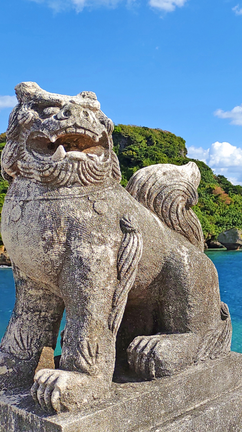 島袋ダイ 決意表明
